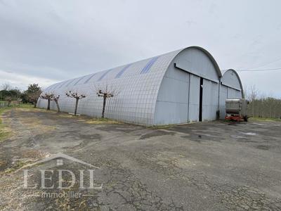 Entrepôt - 1 753 m² - 3 pièces