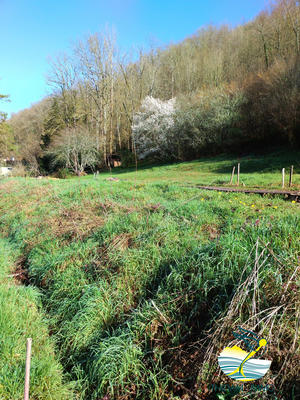 Terrain agricole - 4 267 m²