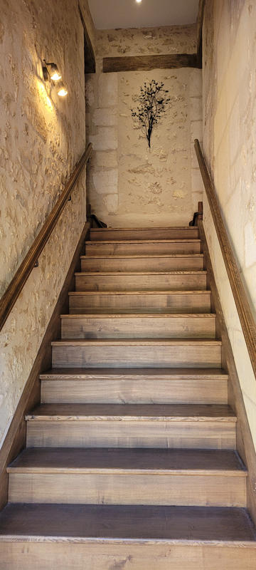 Viager - Maison - 515 m² - 17 pièces