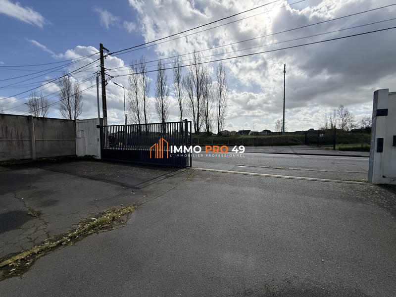 Local d'activités - 600 m²