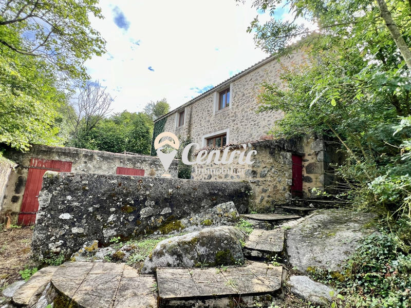 Maison ancienne - 315 m² - 13 pièces