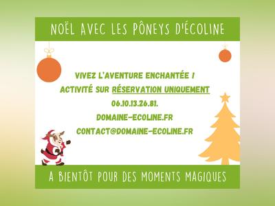 Noël avec les poneys d'Écoline