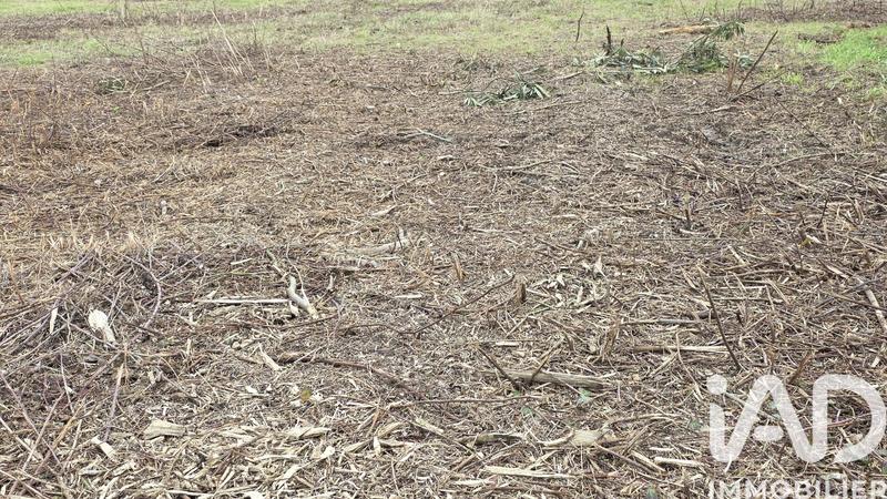 Terrain - 4 450 m²