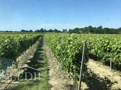 Terrain - 400 000 m²