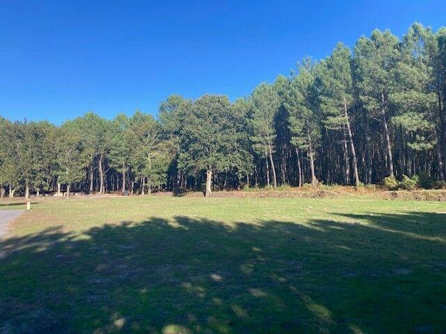 Maison - 131 m² - 5 pièces