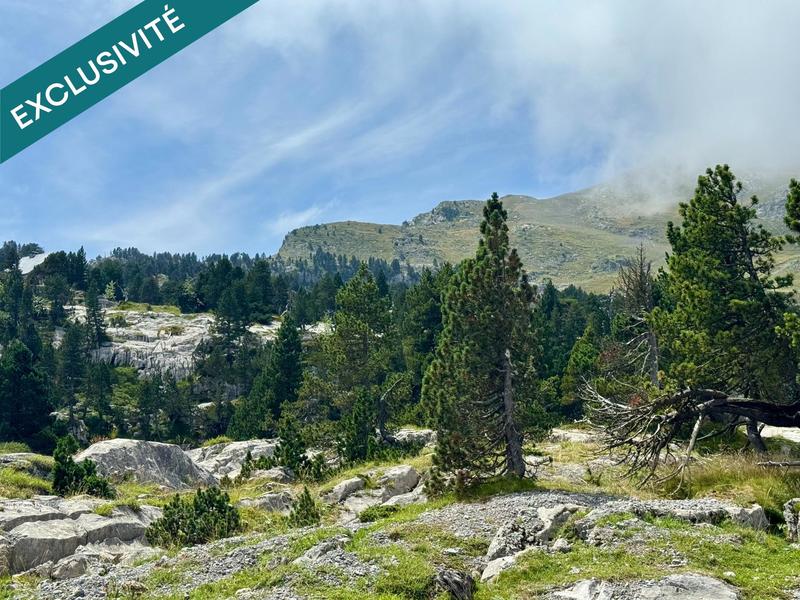 Appartement - 24 m² - 1 pièce