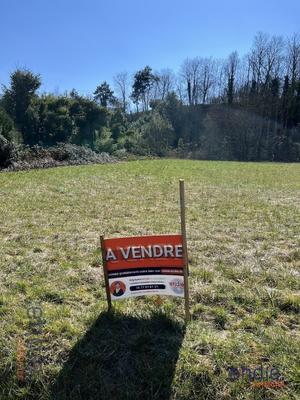 Terrain constructible - 7 323 m²