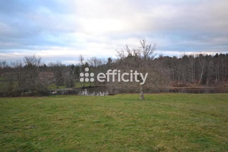 Maison de campagne - 140 m² - 5 pièces