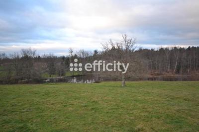 Maison de campagne - 140 m² - 5 pièces