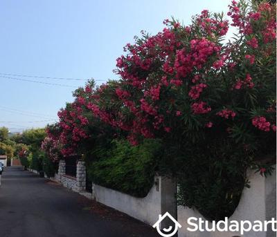 Chambre - 13 m² - 1 pièce