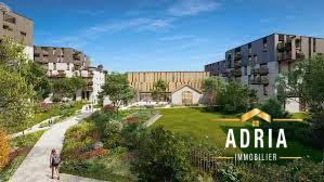 Appartement - 50 m² - 2 pièces