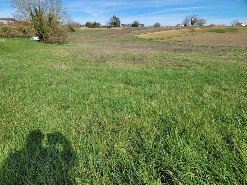 Terrain constructible - 6 640 m²