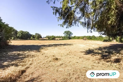 Terrain - 14 623 m²