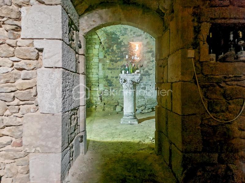 Château - 500 m² - 10 pièces