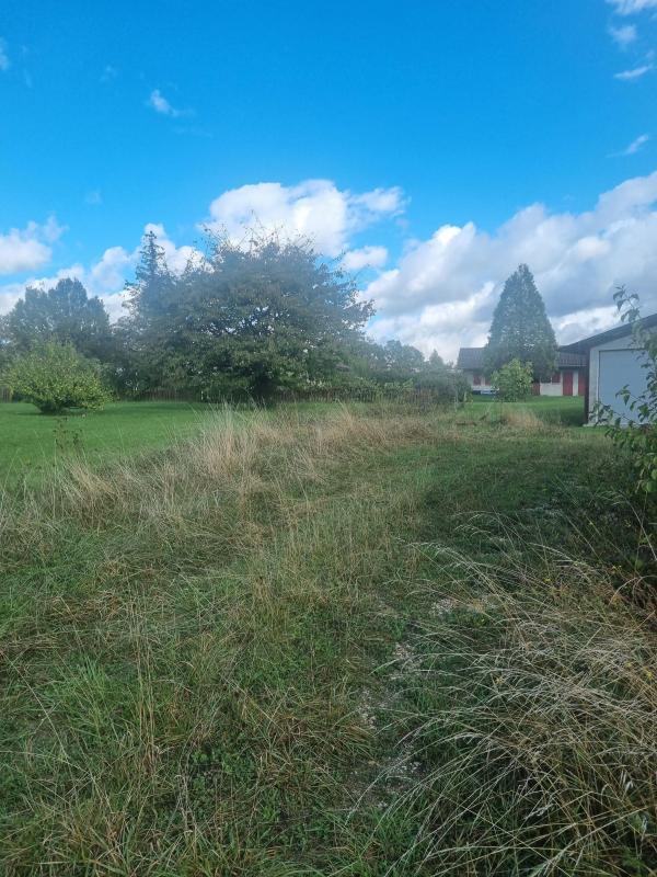 Ferme - 380 m² - 5 pièces