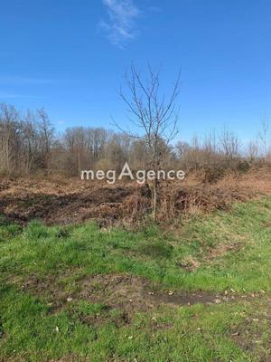 Terrain agricole - 8 000 m²