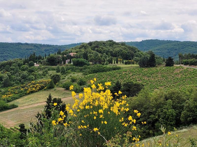 Propriété - 212 m² - 14 pièces