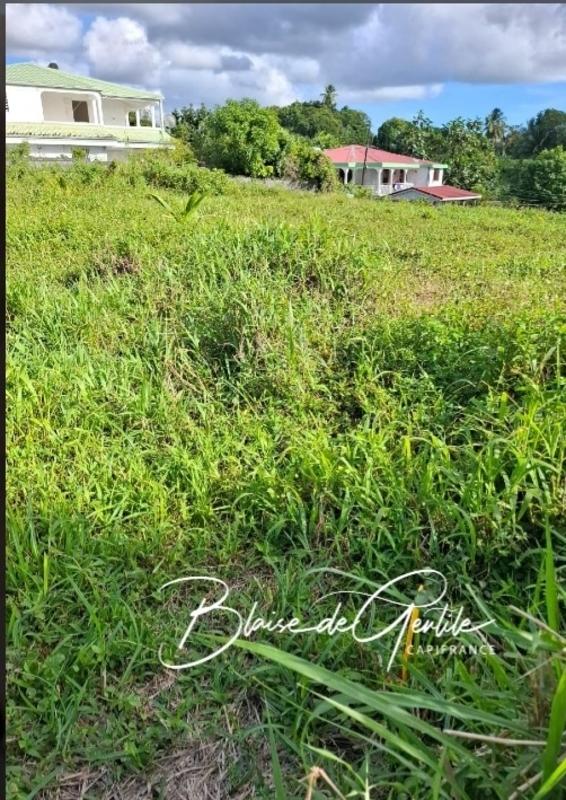 Terrain constructible - 1 701 m²