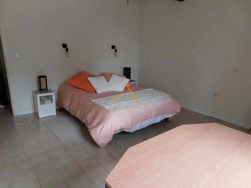 Maison en pierre - 273 m² - 7 pièces