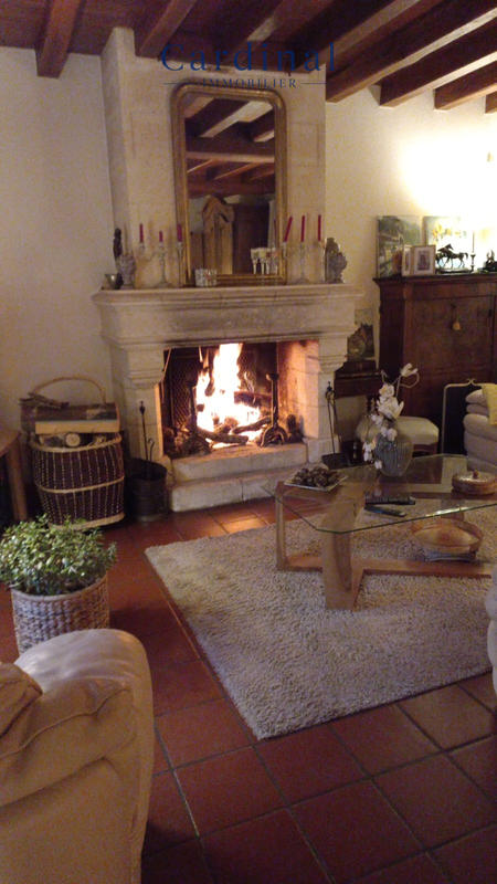 Maison - 220 m² - 13 pièces