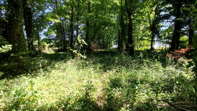 Maison ancienne - 197 m² - 8 pièces