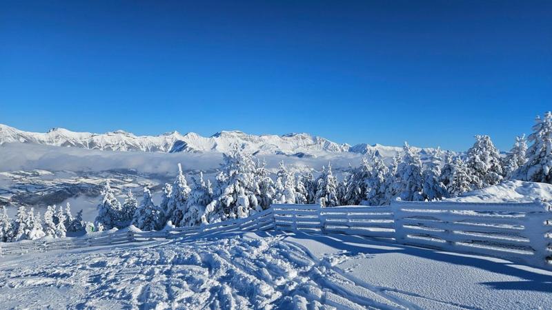 Appartement - 26 m² - 1 pièce