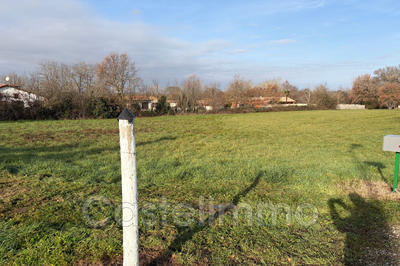 Terrain - 11 988 m²