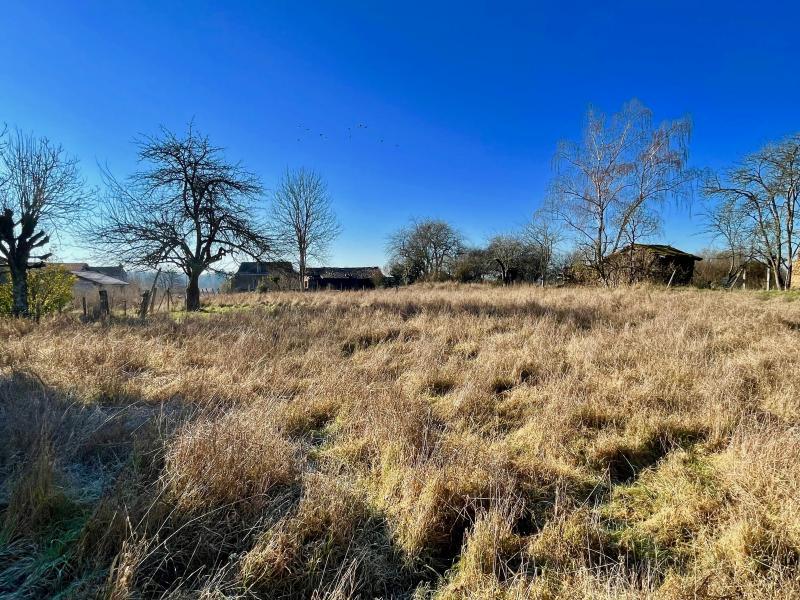 Maison - 300 m² - 1 pièce