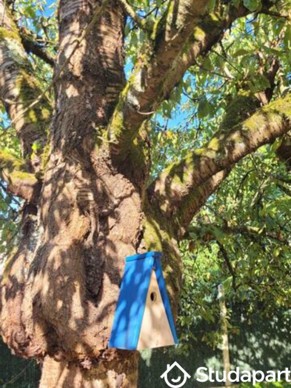 Chambre - 10 m² - 1 pièce