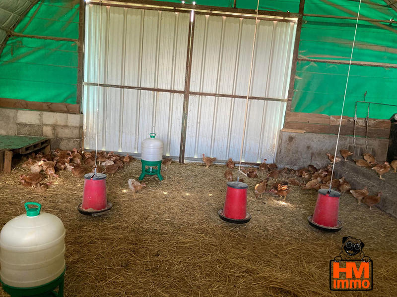 Fonds de commerce - Local commercial - 600 m²