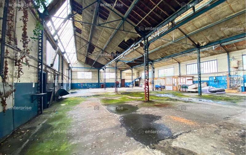 Local d'activité / Entrepôt - 1 650 m²