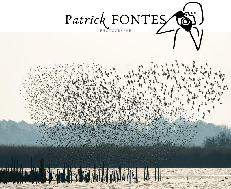 Exposition Cabane Bleue :  Martine Treil et le collectif du Haut des Songes