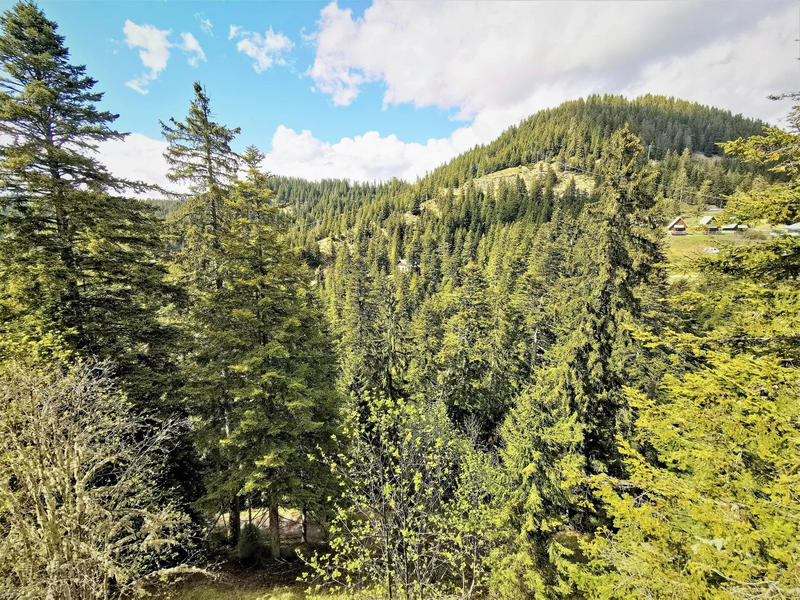 Appartement - 27 m² - 2 pièces