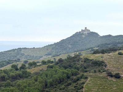 Terrain agricole - 7 500 m²