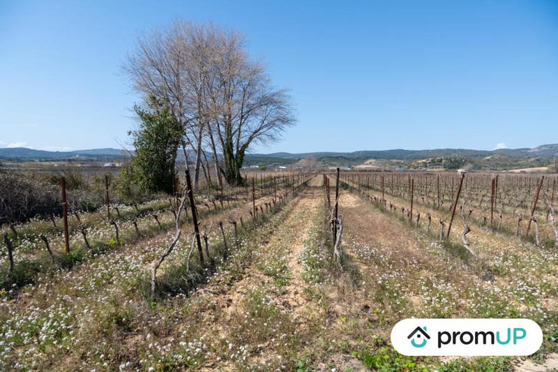Terrain agricole - 41 115 m²