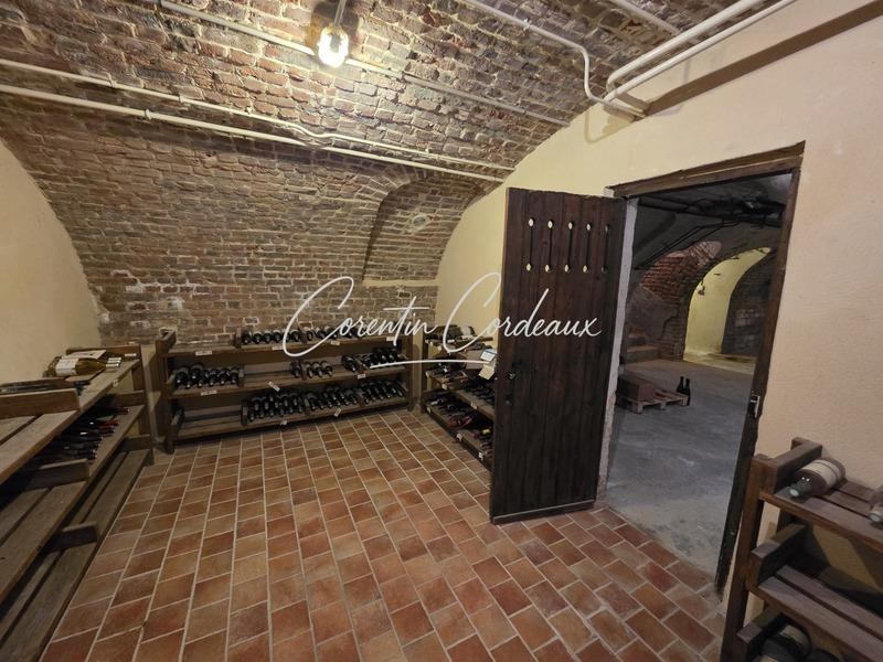 Maison bourgeoise - 393 m² - 10 pièces