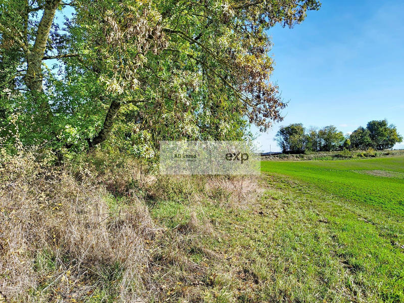 Terrain - 1 279 m²
