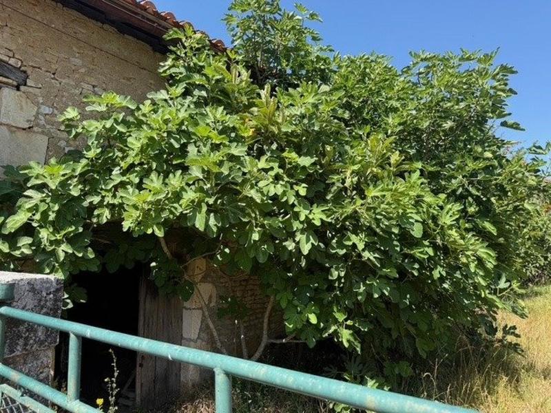 Maison - 127 m² - 1 pièce