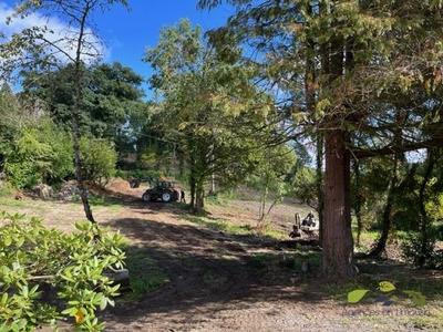 Maison de campagne - 79 m² - 4 pièces