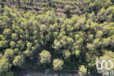 Terrain agricole - 22 683 m²