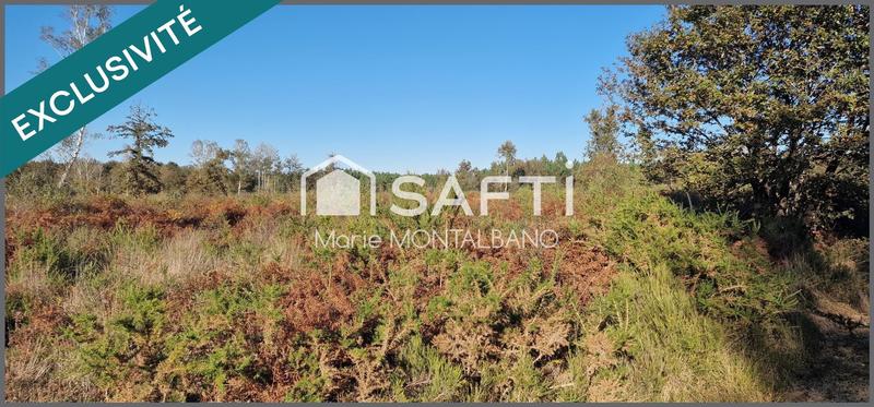 Terrain - 80 660 m²