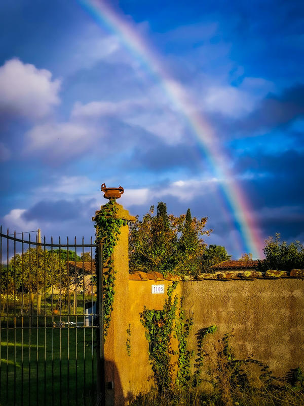 Propriété - 230 m² - 7 pièces