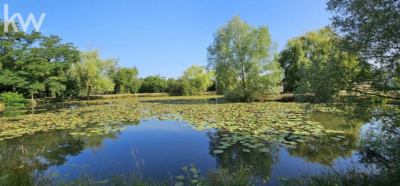 Maison chambre d'hôtes - 424 m² - 10 pièces