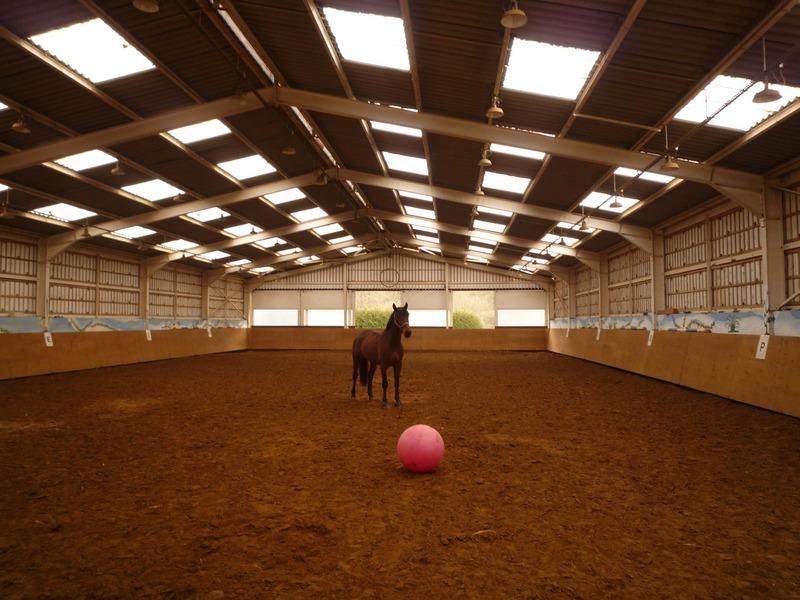 Propriété - 500 m² - 40 pièces