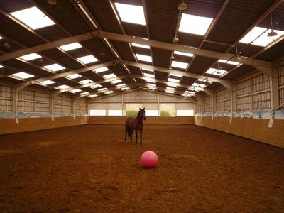 Propriété - 500 m² - 40 pièces