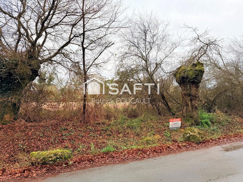 Terrain - 11 077 m²