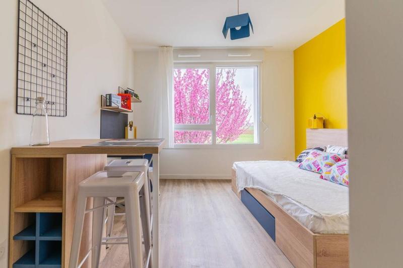 Studio - 17 m² - 1 pièce