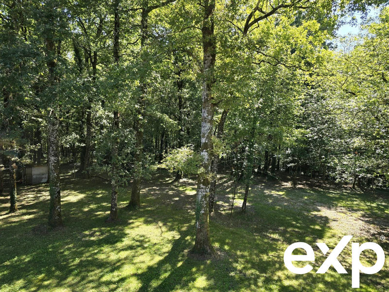 Maison - 315 m² - 10 pièces