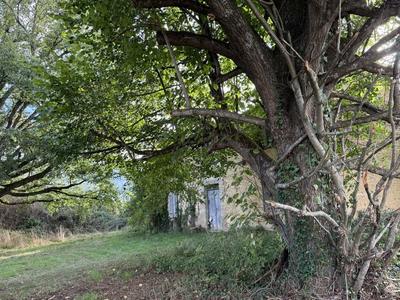 Maison ancienne - 80 m² - 4 pièces