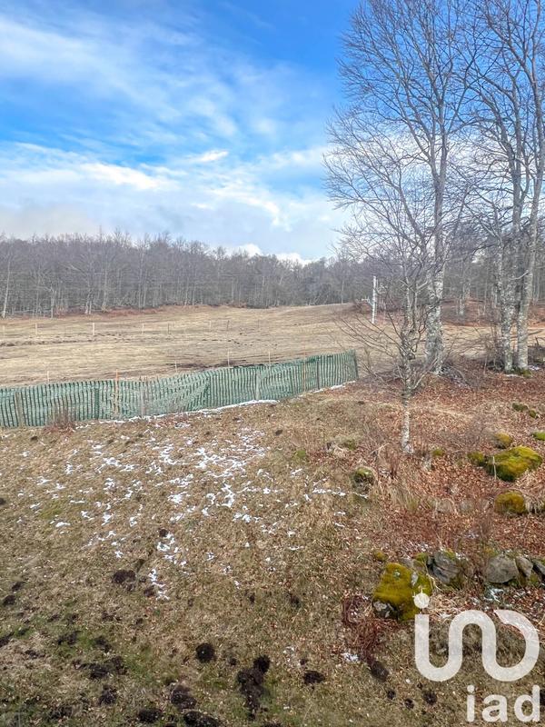 Duplex - 56 m² - 3 pièces